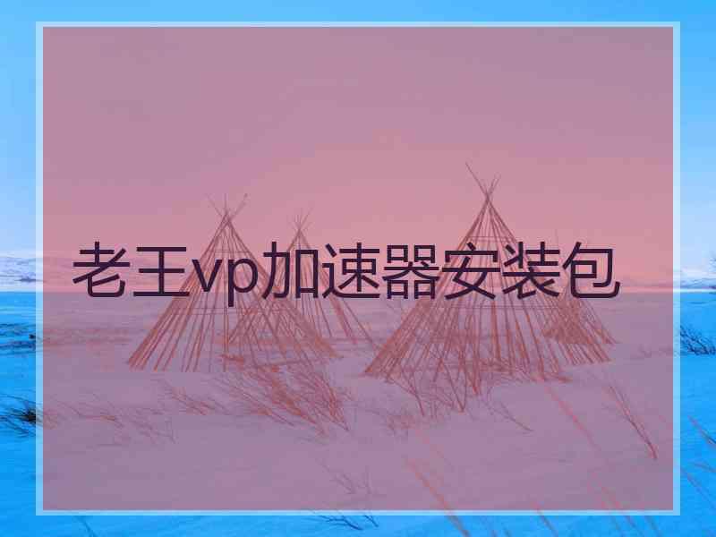 老王vp加速器安装包