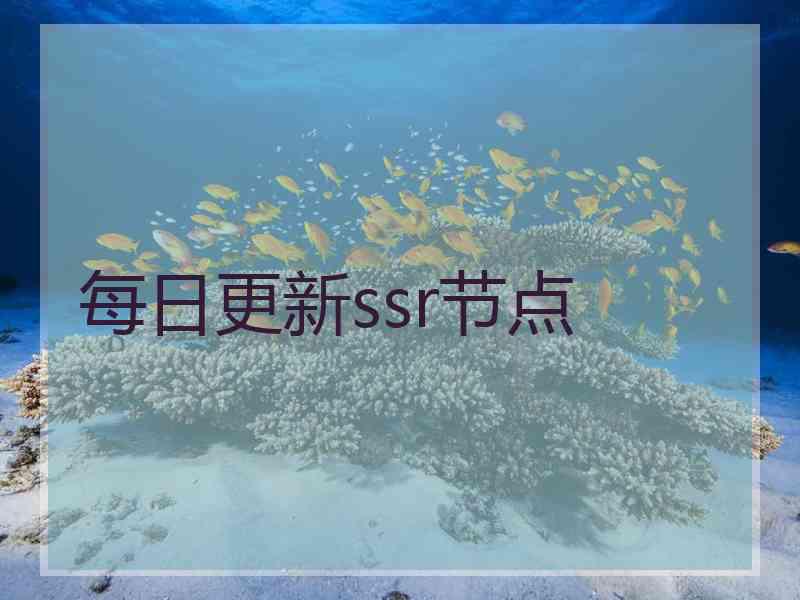 每日更新ssr节点