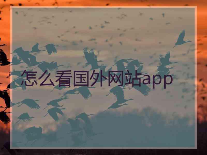 怎么看国外网站app