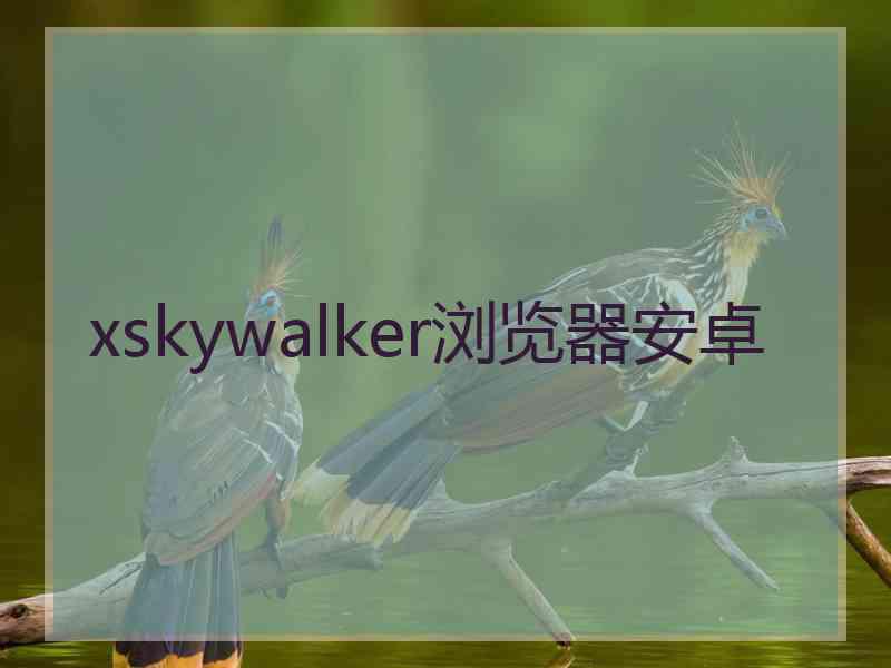 xskywalker浏览器安卓