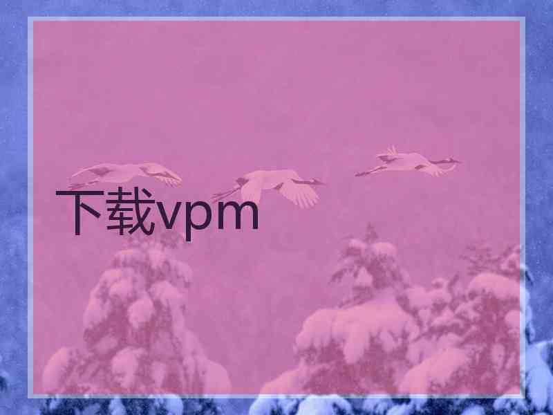 下载vpm