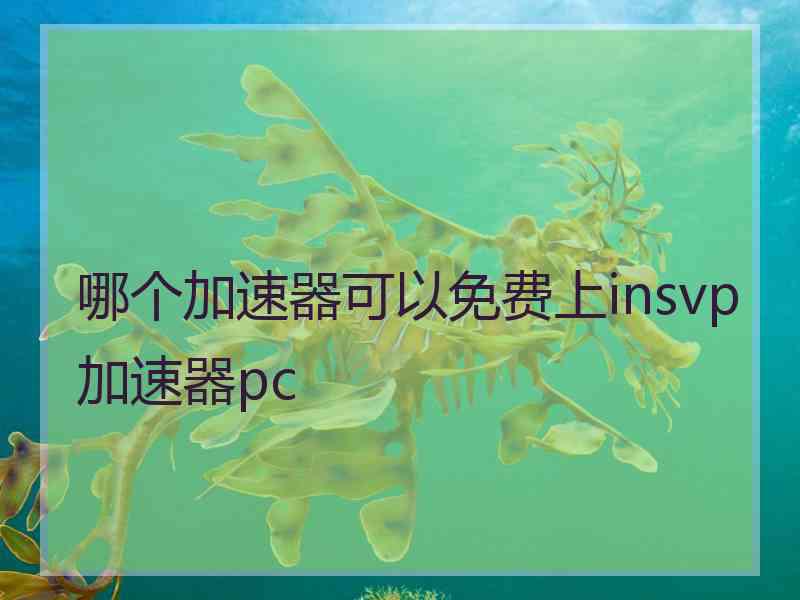 哪个加速器可以免费上insvp加速器pc