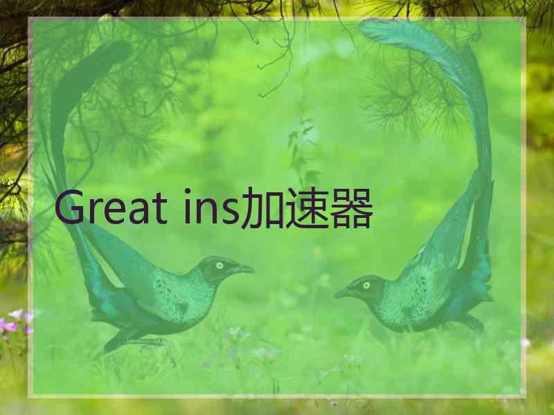 Great ins加速器