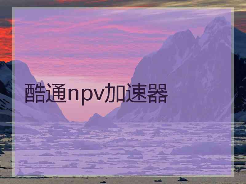 酷通npv加速器