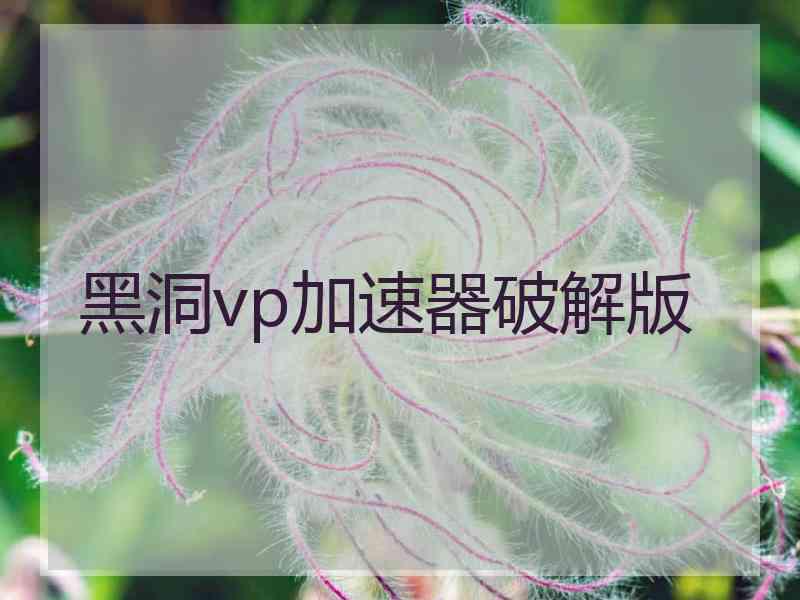 黑洞vp加速器破解版