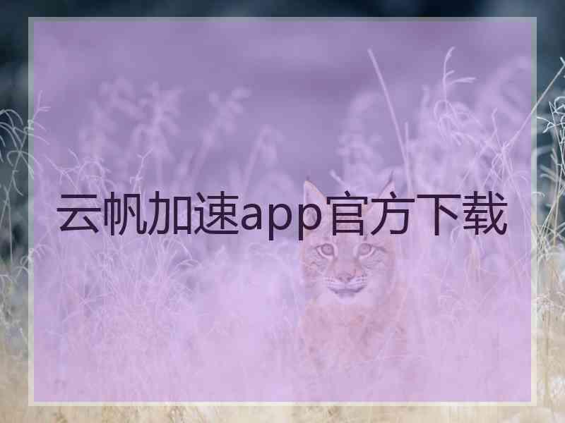 云帆加速app官方下载