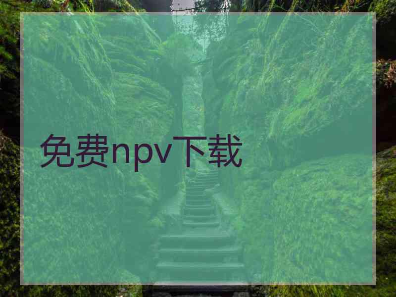 免费npv下载