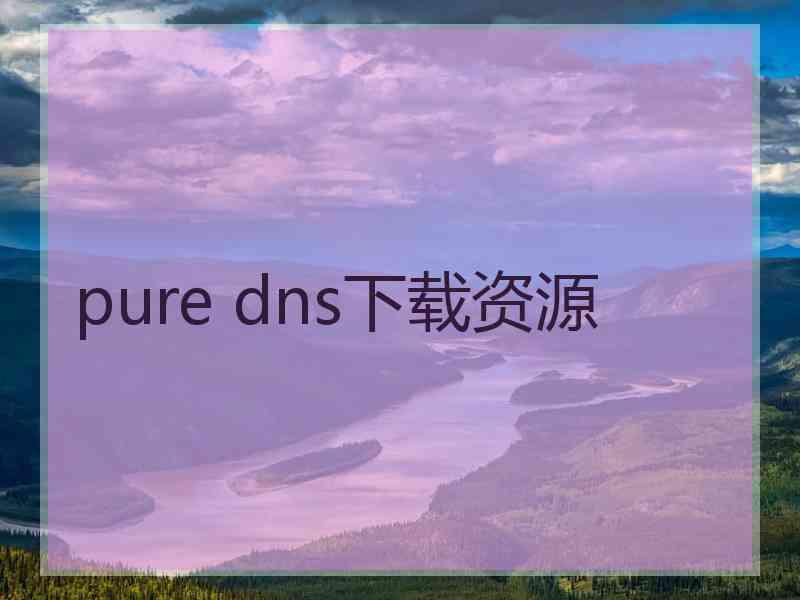 pure dns下载资源