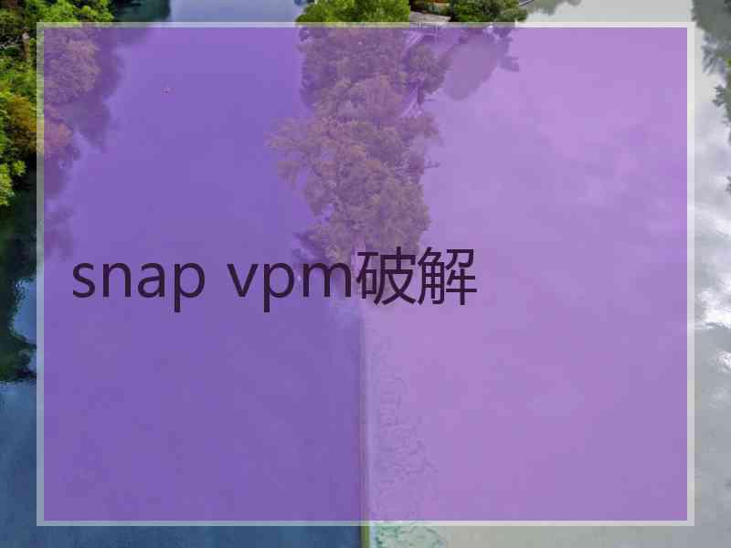 snap vpm破解