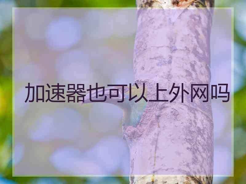 加速器也可以上外网吗