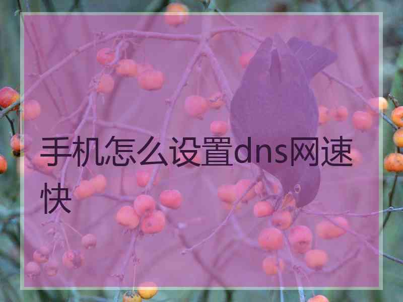 手机怎么设置dns网速快