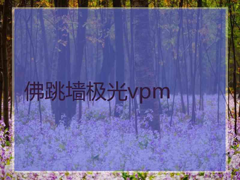 佛跳墙极光vpm