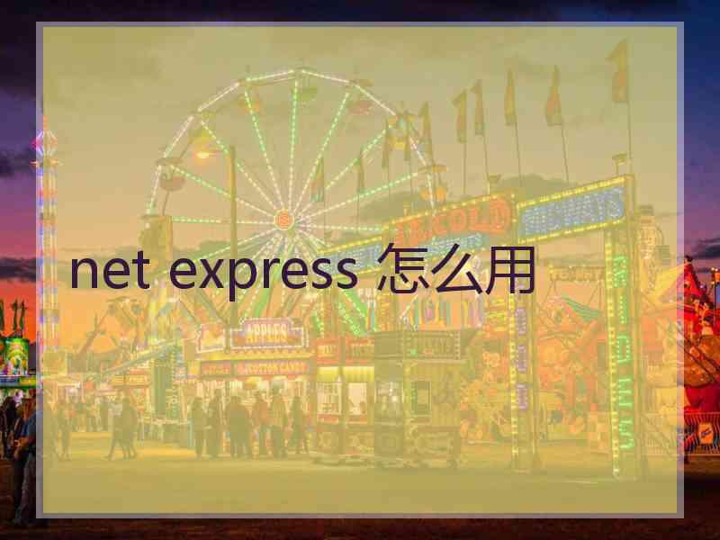 net express 怎么用