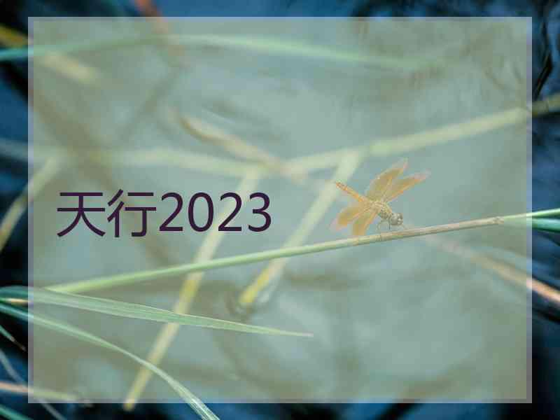 天行2023