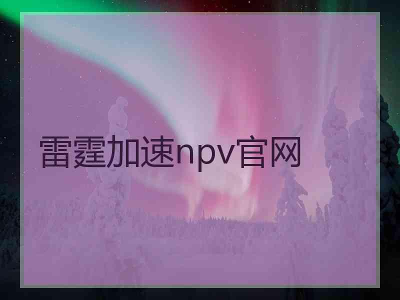 雷霆加速npv官网