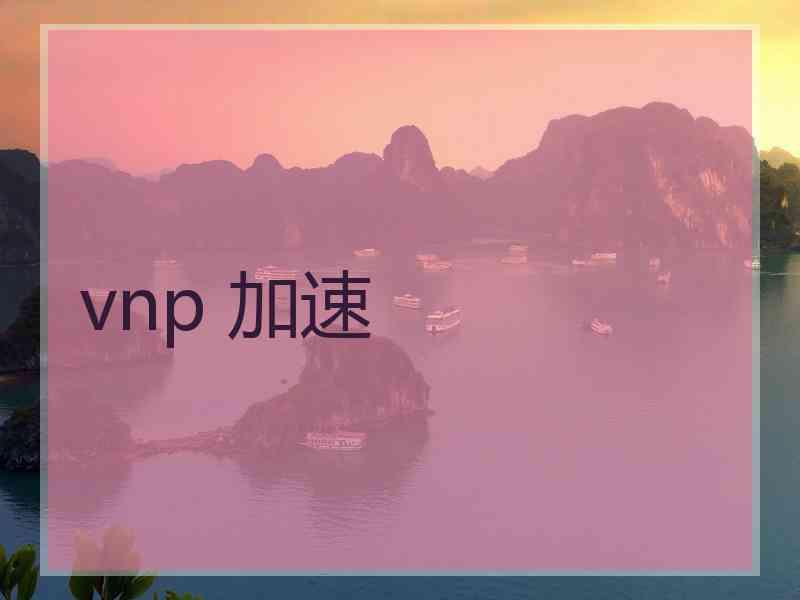 vnp 加速