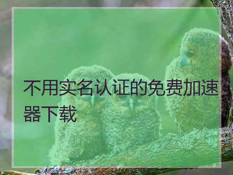 不用实名认证的免费加速器下载