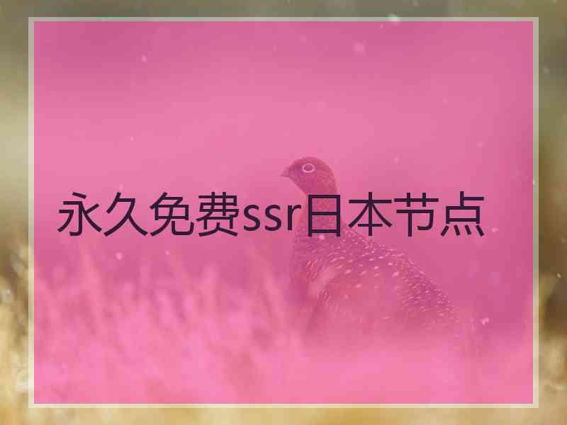 永久免费ssr日本节点