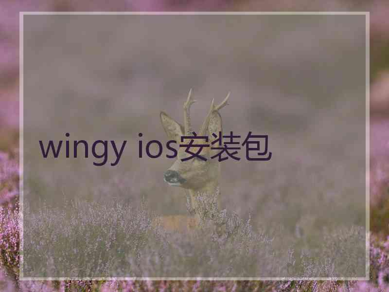 wingy ios安装包