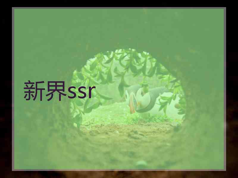 新界ssr