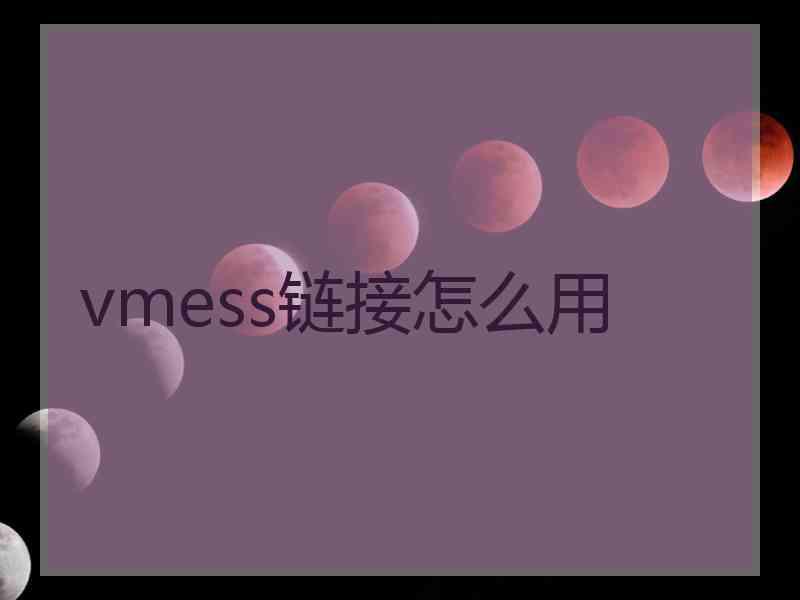 vmess链接怎么用