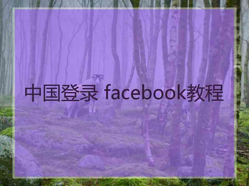 中国登录 facebook教程