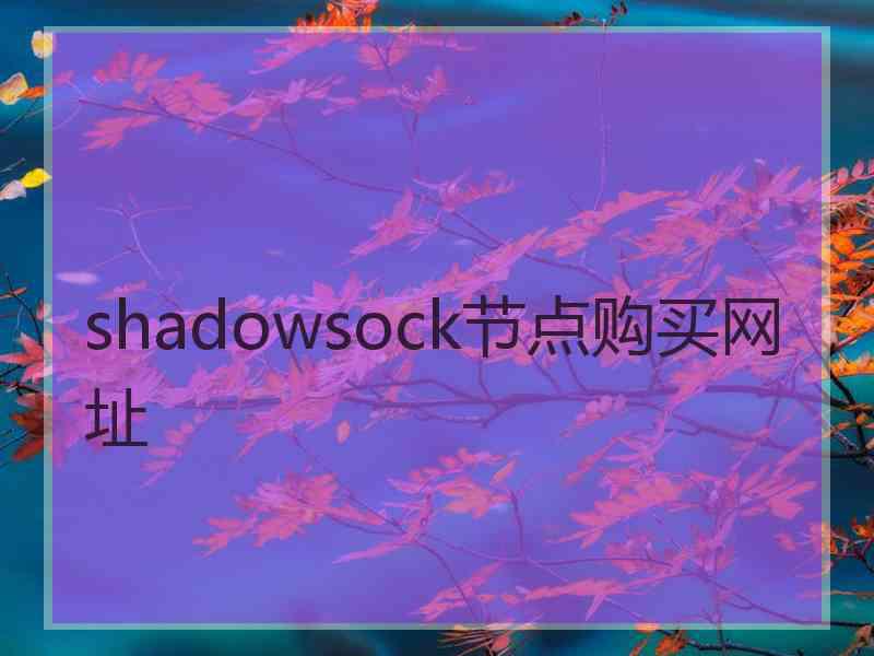 shadowsock节点购买网址