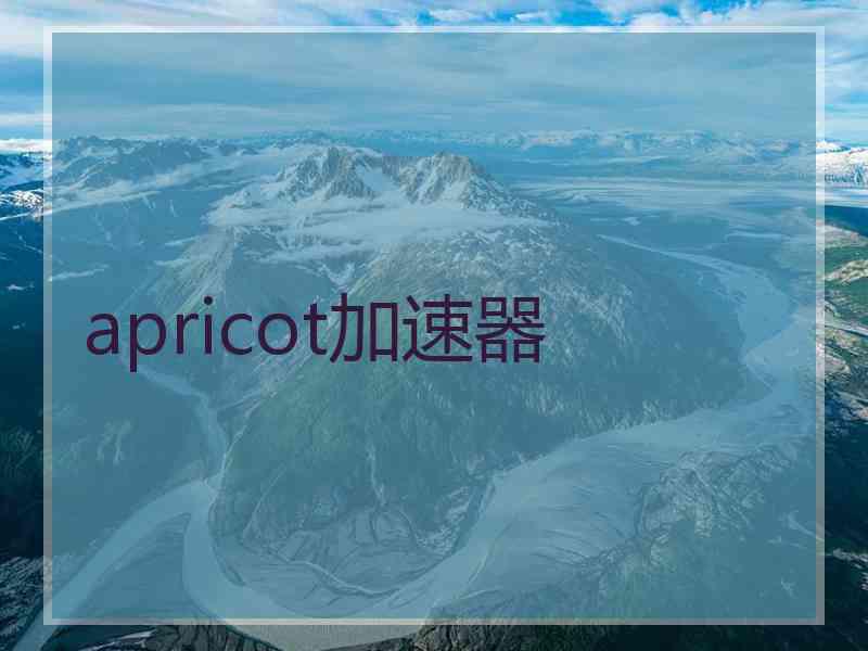 apricot加速器