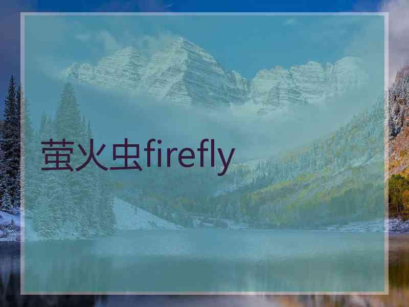 萤火虫firefly