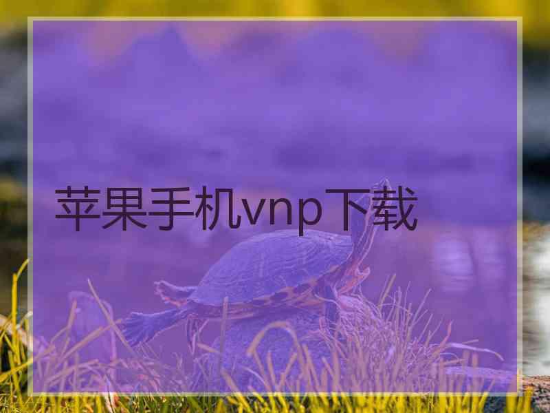 苹果手机vnp下载