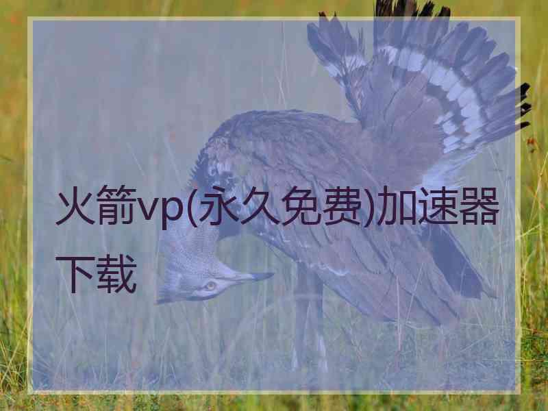 火箭vp(永久免费)加速器下载