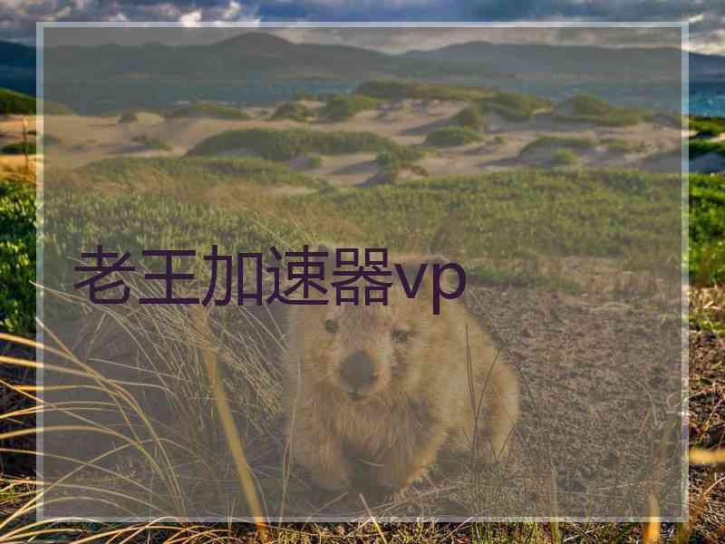 老王加速器vp