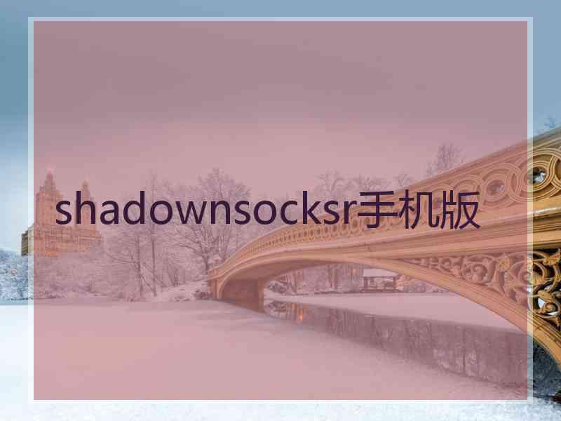 shadownsocksr手机版