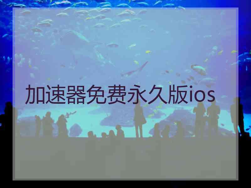 加速器免费永久版ios