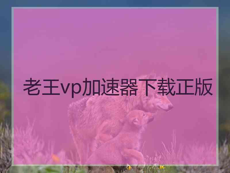 老王vp加速器下载正版