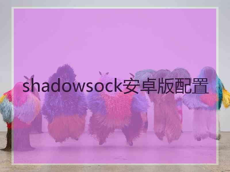 shadowsock安卓版配置