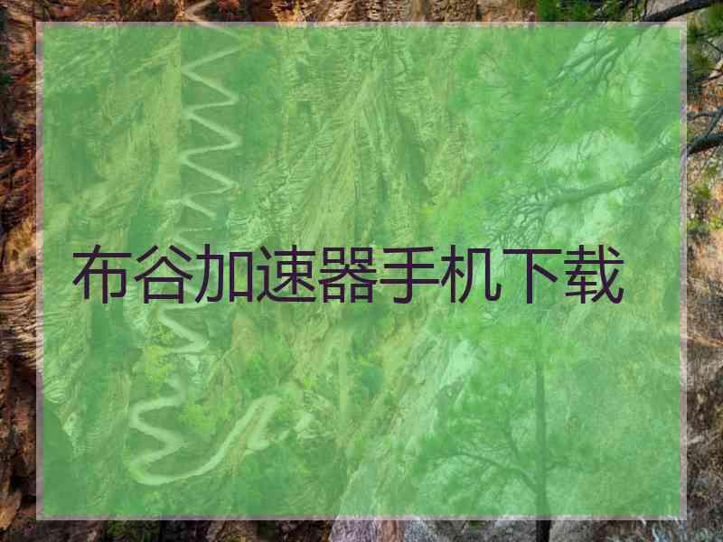 布谷加速器手机下载