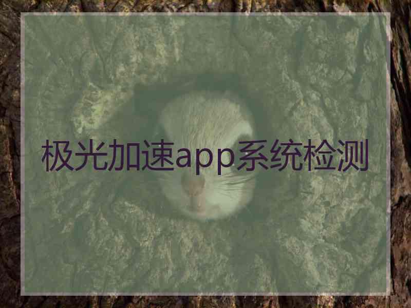 极光加速app系统检测