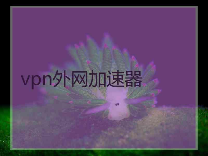 vpn外网加速器