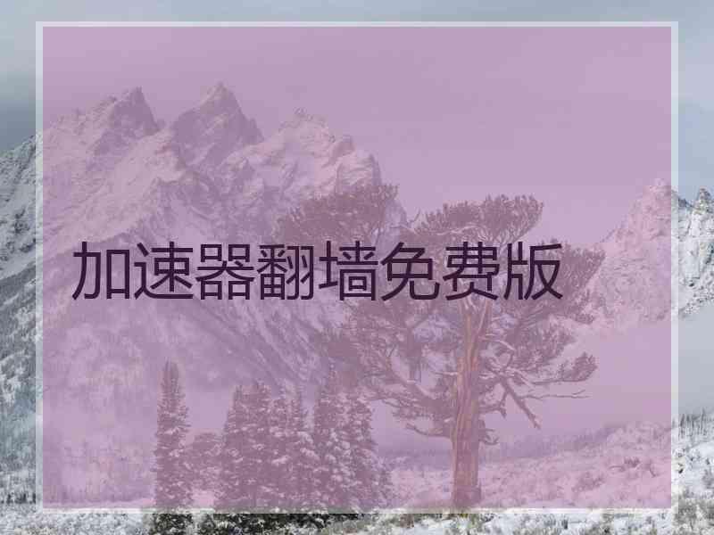 加速器翻墙免费版