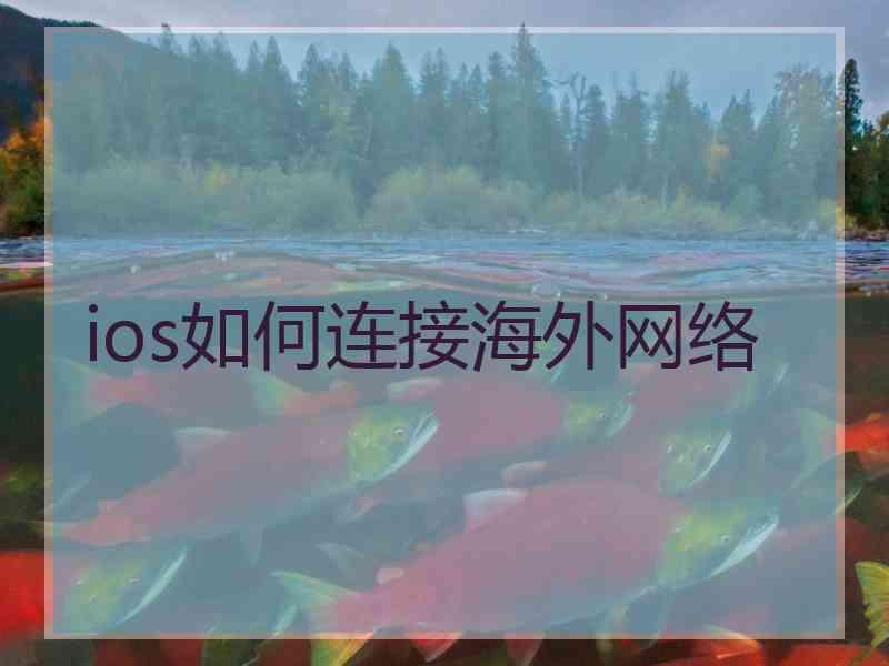 ios如何连接海外网络