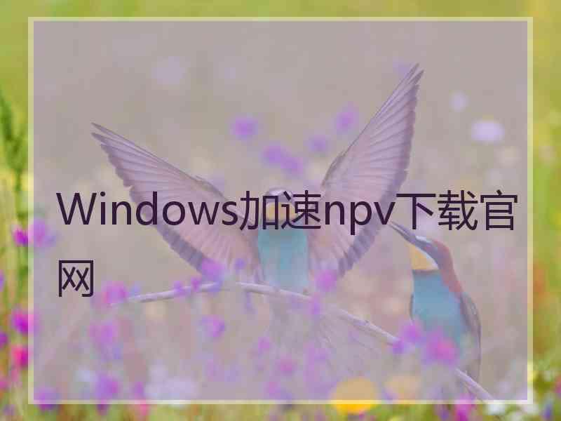 Windows加速npv下载官网