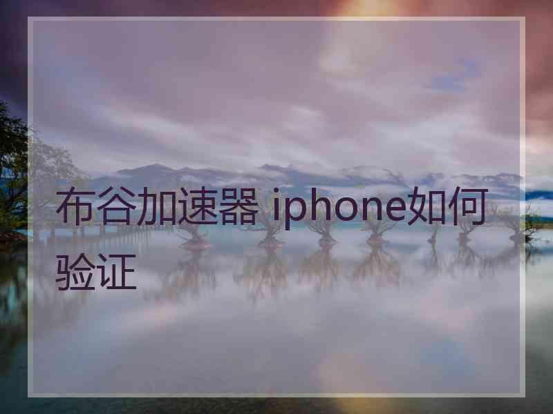 布谷加速器 iphone如何验证