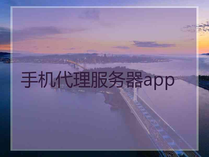 手机代理服务器app