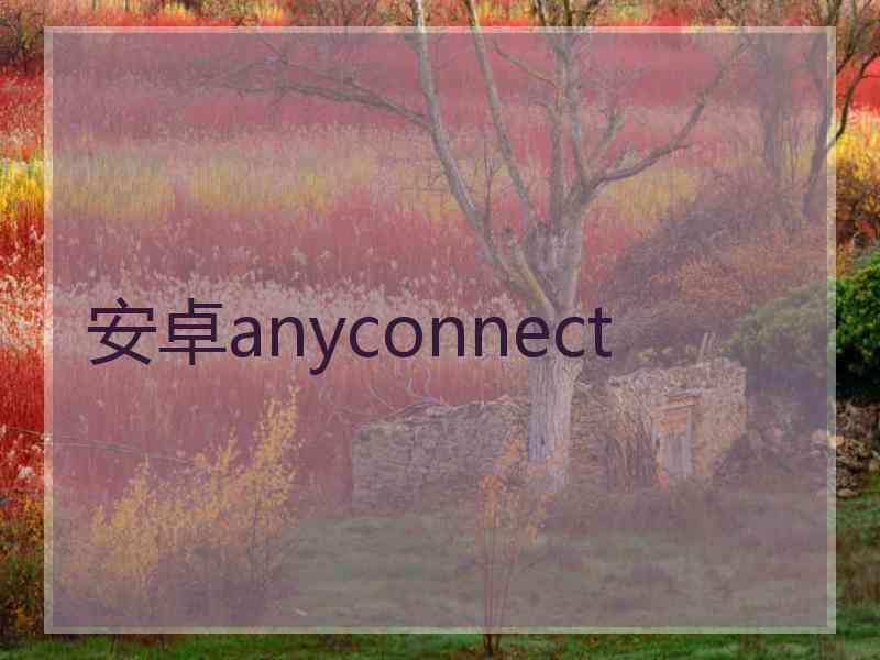 安卓anyconnect