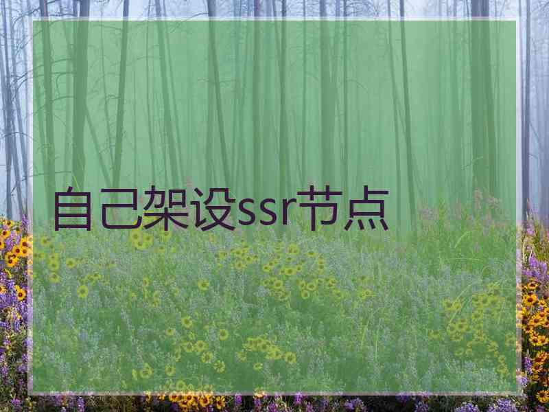 自己架设ssr节点