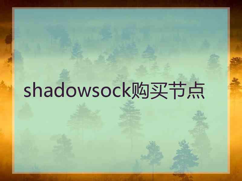 shadowsock购买节点