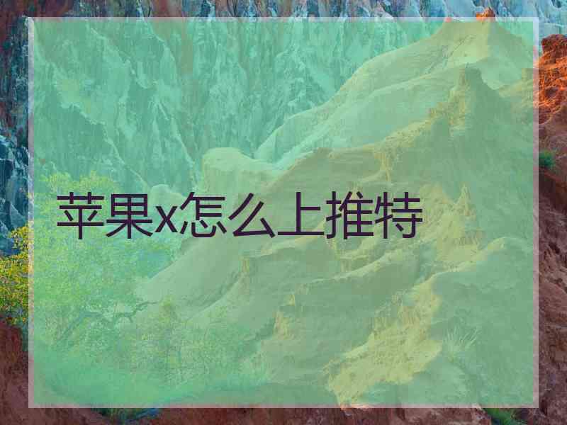 苹果x怎么上推特