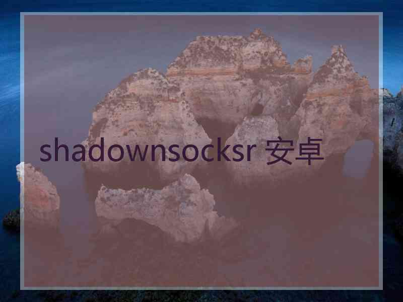 shadownsocksr 安卓