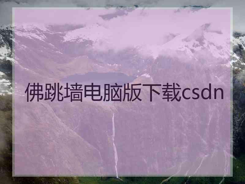 佛跳墙电脑版下载csdn